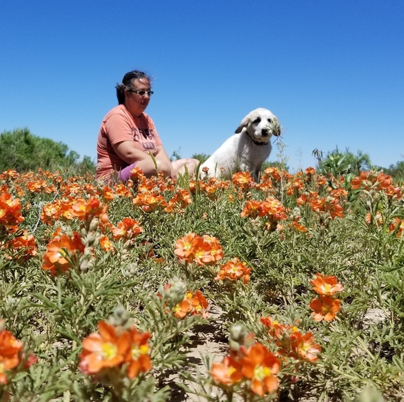 Meet your Posher, Kitty - Picture 2 of 2